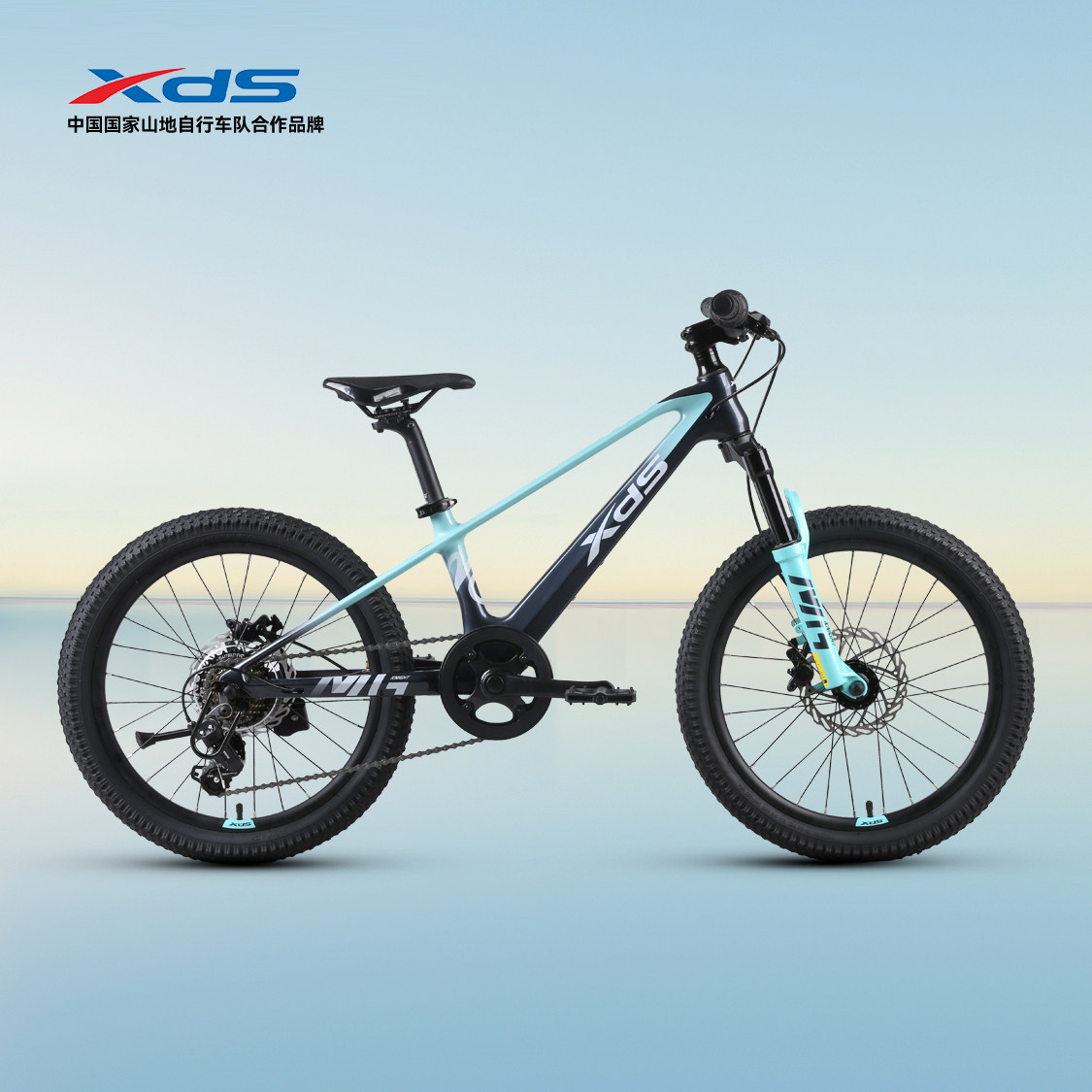 XDS Xidesheng 新型マグネシウムナイト マグネシウム合金マウンテンバイク（10代、男の子、女の子、子供向け）（20インチ）