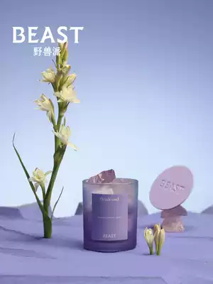 THEBEAST Fauvism Paris Weekend Fragrant Stone Aromatherapy Candle Gift Box Wedding Birthday Gift