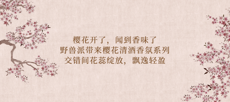 O1CN01jLgL9a25vMOOStSSg_!!2397897588.jpg