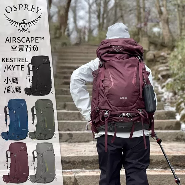 Товары от 北京户外胖胖的壁虎