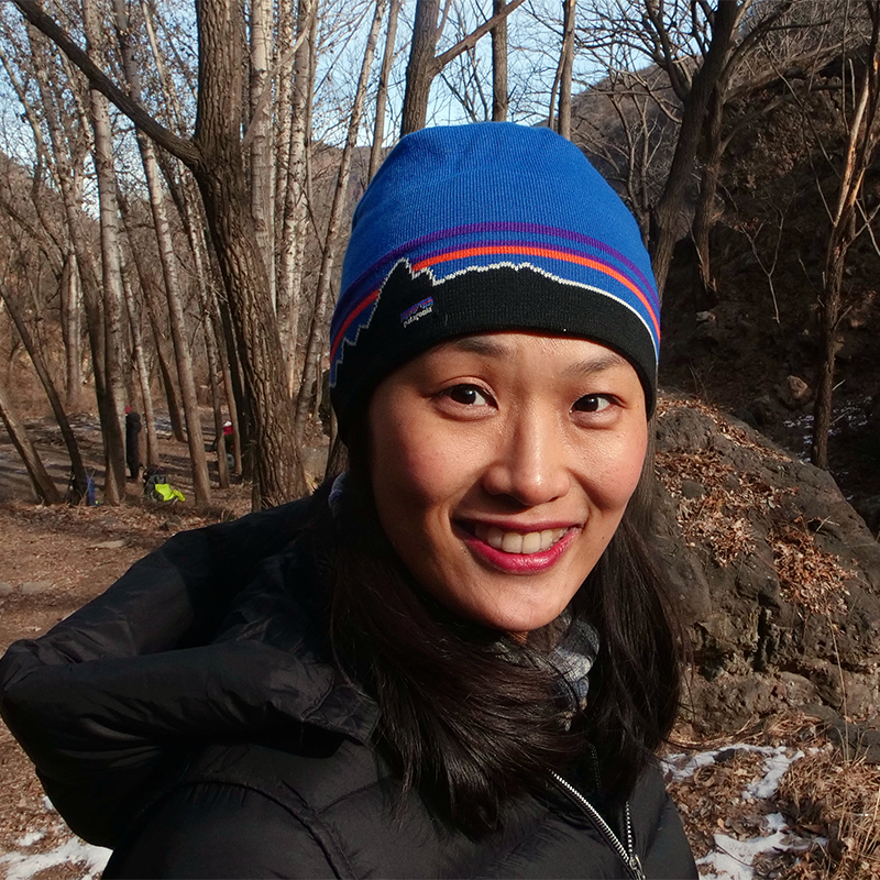 Patagonia patagonia hat Japan qualified small logo grass to write a hair line cold cap