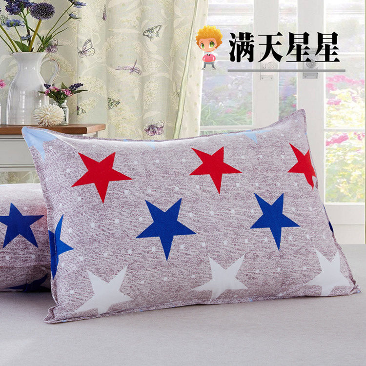 Học sinh Gối đơn Ký túc xá Gối Nhật Bản Gửi Gối Trường hợp Gối Cổ Phim hoạt hình Công chúa dễ thương Gối dành cho người lớn gối chống trào ngược monmon
