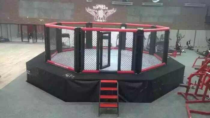 龙派拳击擂台泰拳搏击格斗笼MMA UFC拳击竞技比赛拳台落地八角笼:燃爆你的战斗魂🔥!-拳击擂台-淘宝好物网