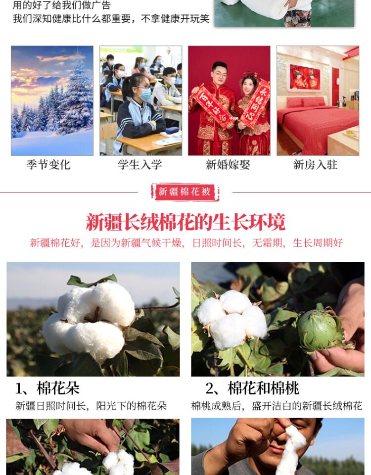 新疆棉被芯 2斤 图3