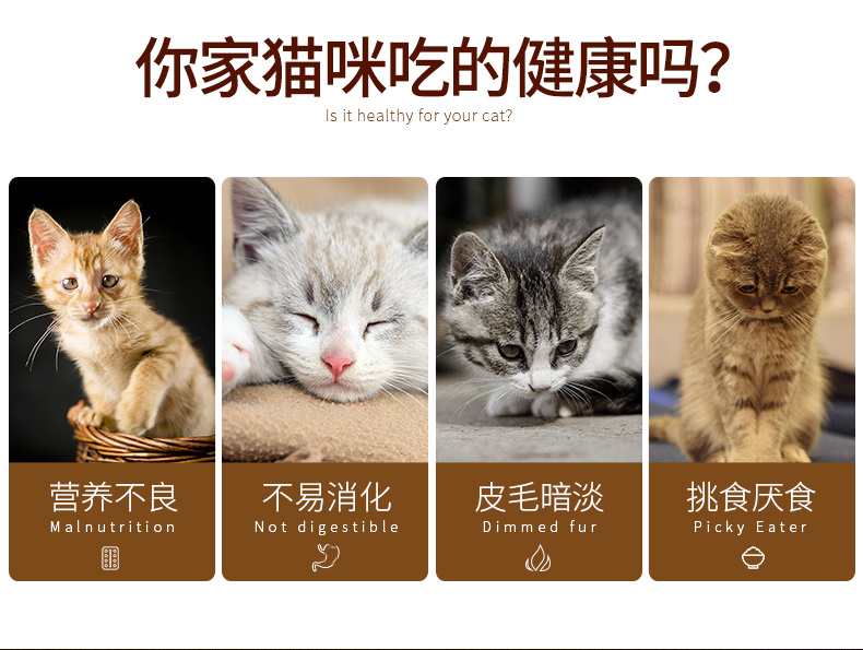 Mua một tặng một thức ăn cho mèo miễn phí cá nếm thức ăn cho mèo túi lớn vào mèo mèo thức ăn chính của mèo tăng vật nuôi cũ sau tổng cộng 6 kg - Cat Staples thức ăn cho mèo mang thai