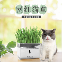 Cat grass seeds Catnip Cat snacks Cat hair spheroidizing hair cream Cat grass hydroponic planting set Cat supplies