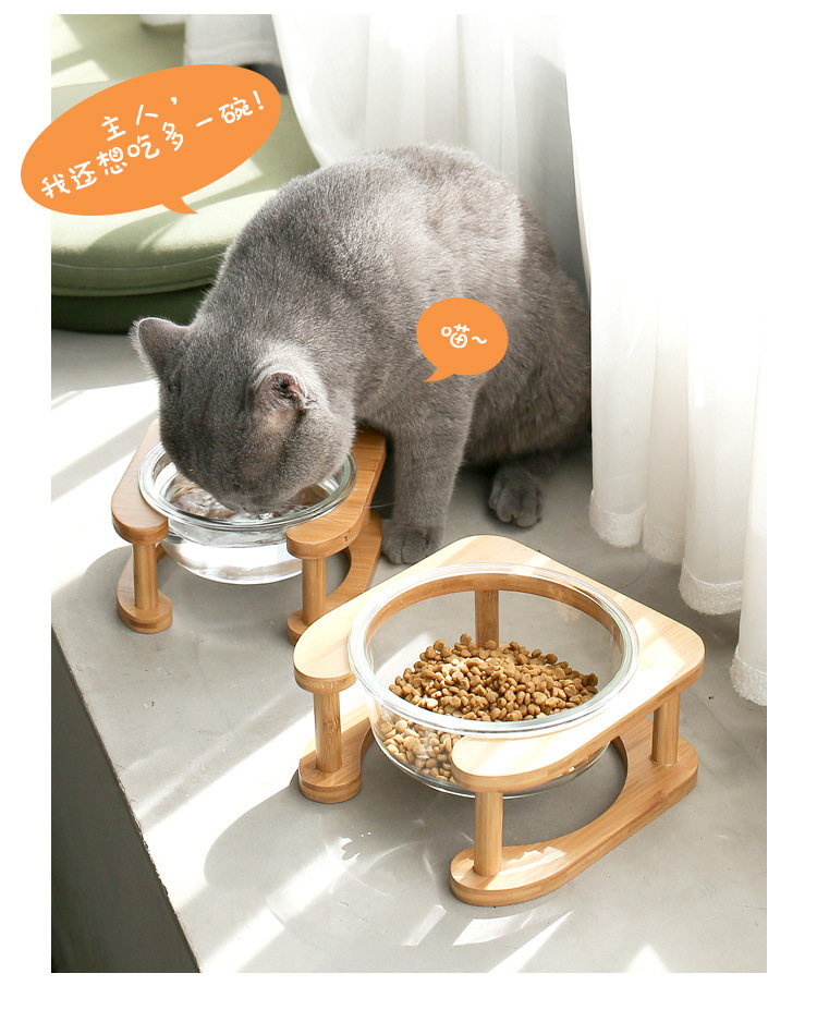 Платформа Glass Cat Bowl_16.jpg