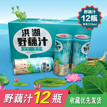 Honghu Wild lotus root juice Luxury drink Lotus root juice Canned fruit and vegetable Wild lotus juice drink Gift box beverage juice whole box