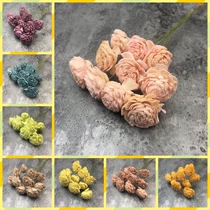 Imported Japanese Earth various color wood veneers with a whole bunch of 10 permanent flowers diy flower material about 4cm in diameter