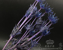 Japanese Earth Brands Import Earth Farmyard Preservation Flowers Evergreen Flowers Gill Cress DIY gift box production