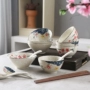 Bộ đồ ăn Nhật Bản kết hợp bộ bát sứ gia đình bát cơm retro cá tính ăn bát nhỏ bát súp dày bộ chén đĩa