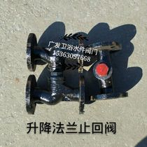 Flange check valve Lifting check valve Saddle type flange check cast iron check valve