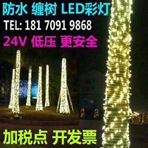 24V Low Voltage Engineering light string LED string lights outdoor winding trees outdoor lights festive decoration atmosphere New Year