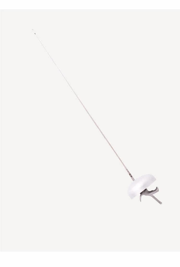 36 Электрический меч BF-D_17.jpg