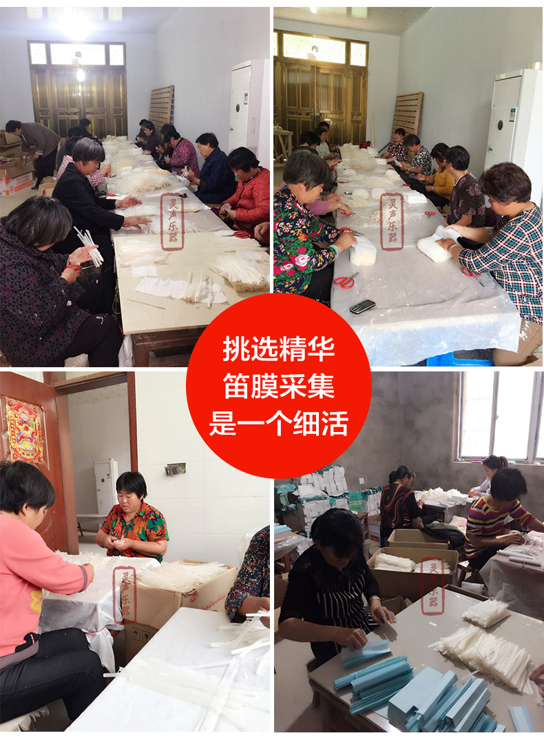 Nhạc cụ Lingsheng 2018 tươi trong suốt phim trắng sậy phim nhạc chơi sáo chuyên nghiệp phụ kiện sáo trúc dây guitar điện