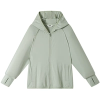 Элегантный серо -зеленый