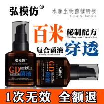 Hong imitates biological medicine autumn and winter black pit fishing small medicine wild fishing bait crucian carp carp grass carp fish fish tilagafie bait nest