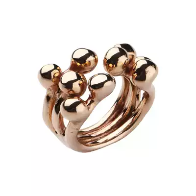 fieldnotes )(Italy) MONICA CASTIGLIONI Ring-PISTILLINI Series