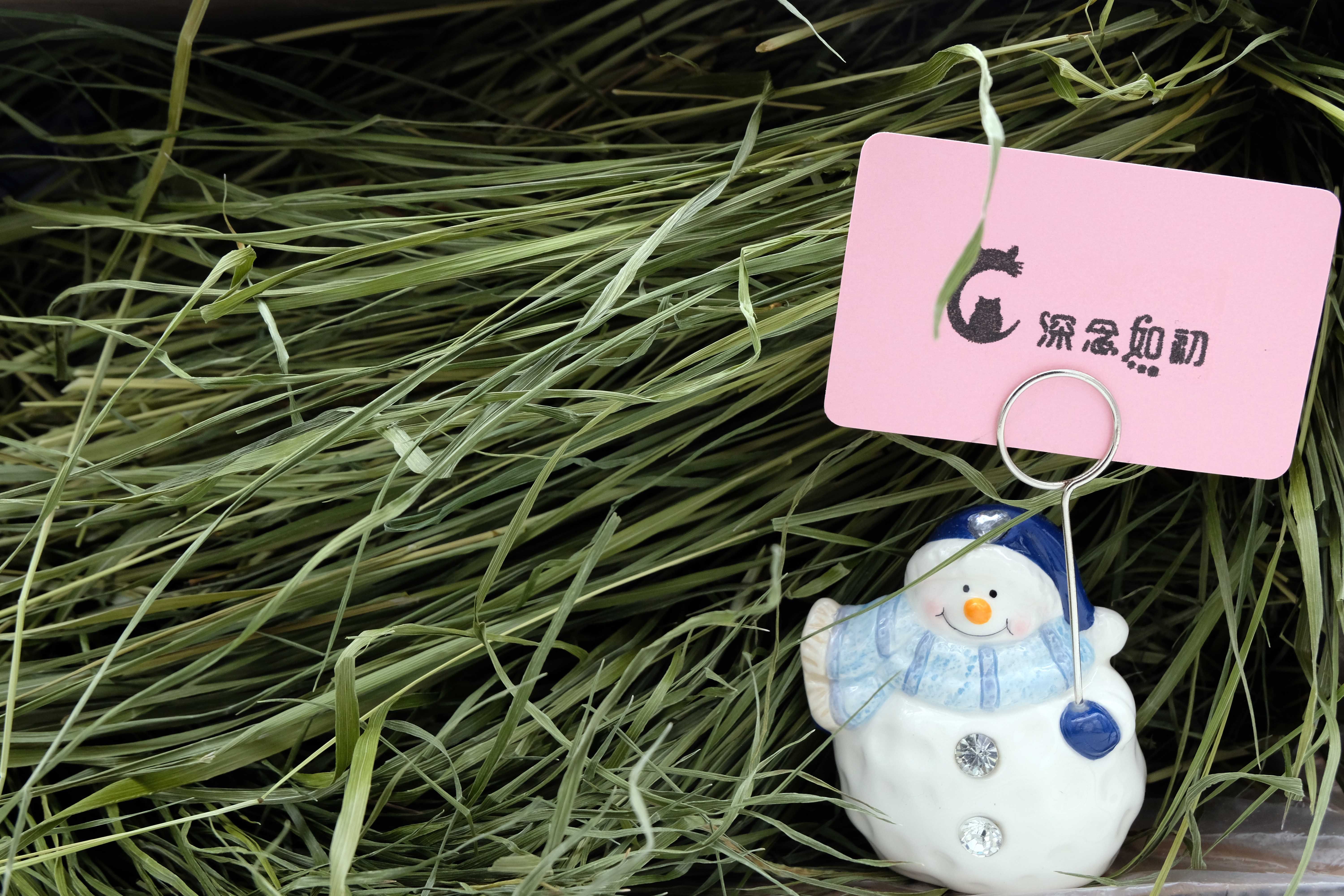 (Deep thoughts as before) 2021 premium timothy grass drying rabbit chinchilla guinea pig drying grass