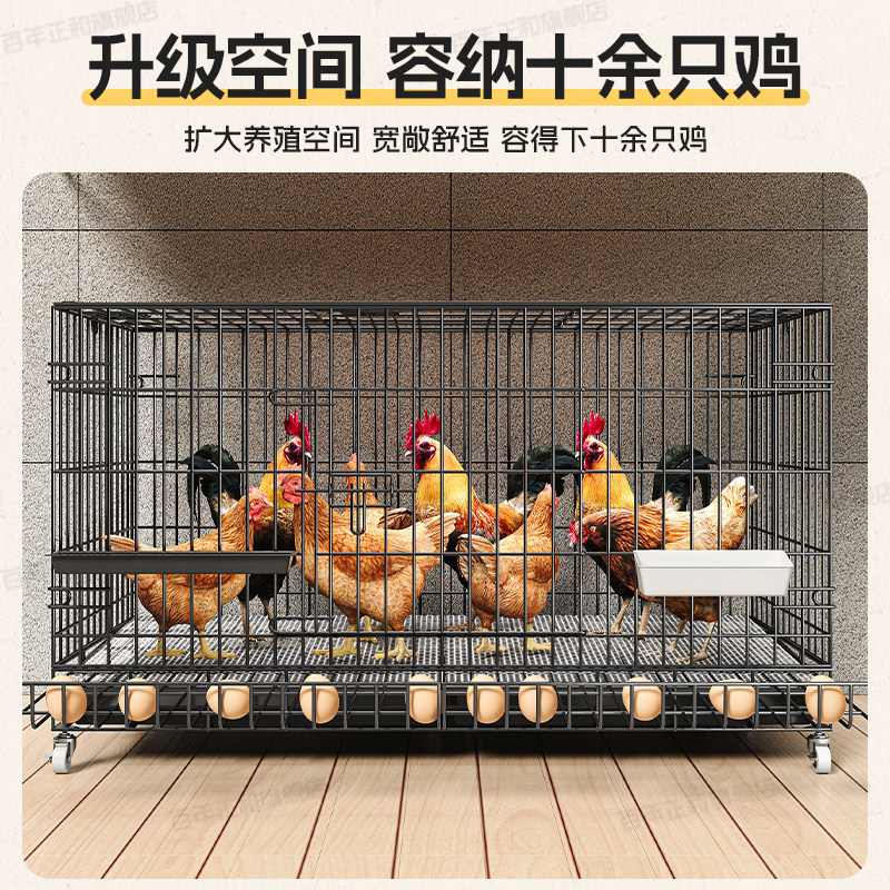 特大号室外防雨鸡笼子，农村家用室内折叠鸡舍，养鸡养鸭养鹅必备神器！-狗笼子-淘宝好物网