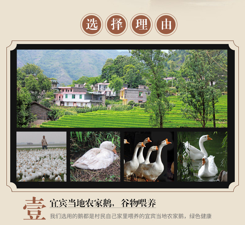 Snowy Goose 2_04.jpg.