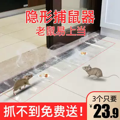 A nest of mouse artifact, a nest of rodent, mousetrap, a home indoor high-efficiency sticky mouse board