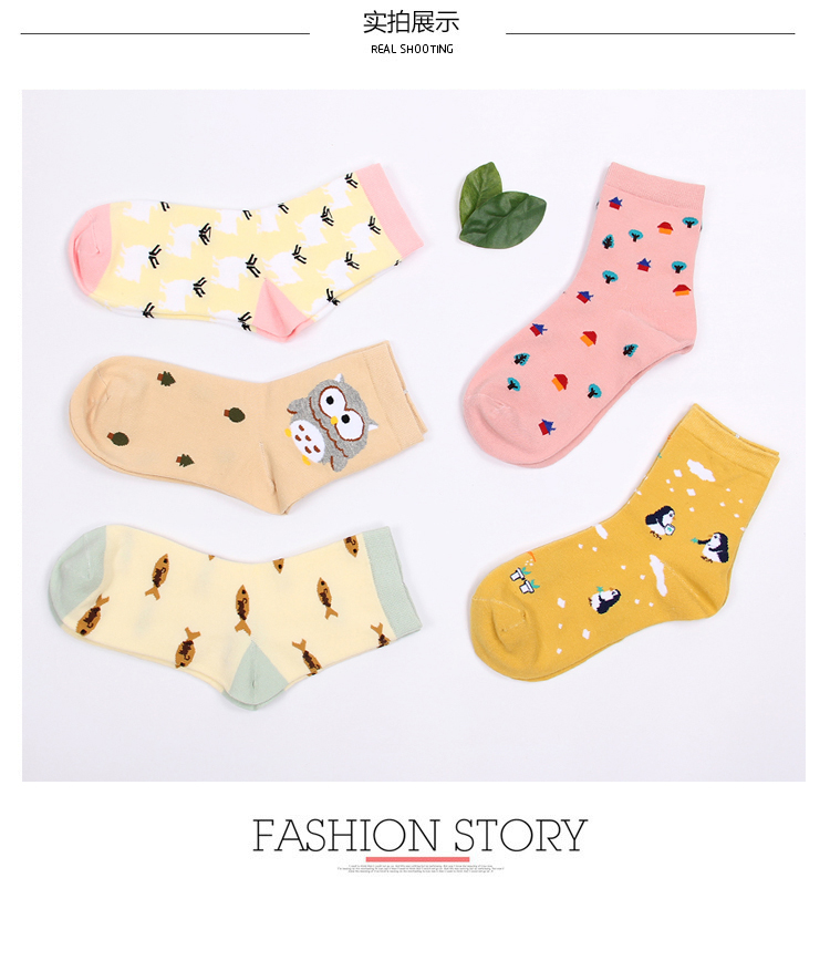 Chaussettes - collants BILL ALWAYS DFY-012 - Ref 779197 Image 12