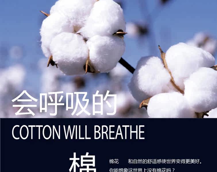 Chaussettes - collants BILL ALWAYS W1521 - Ref 753079 Image 8