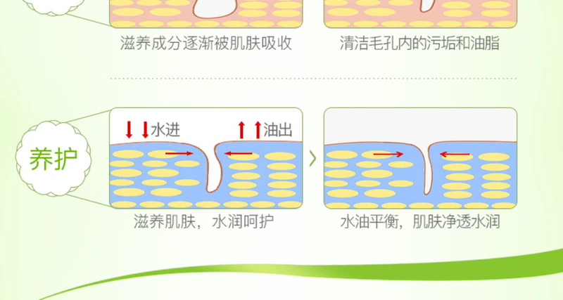 Nước trà xanh bưởi