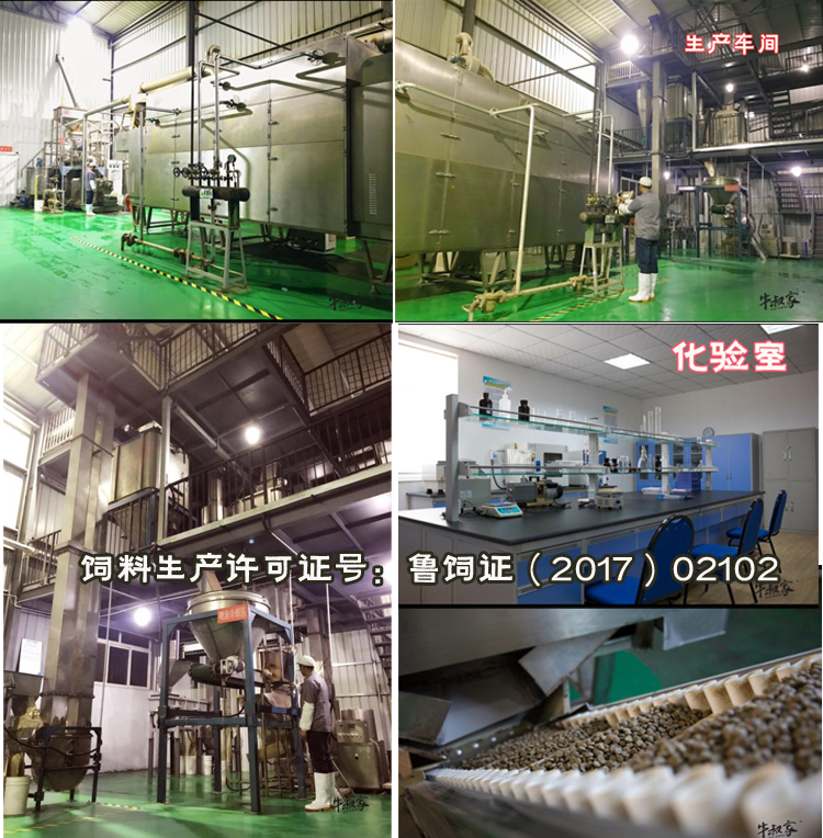 Anh bò chiến đấu thức ăn cho chó phương pháp gia súc chiến đấu với chó bulgie thức ăn cho chó con chó trưởng thành chó 20 kg túi 10kg - Chó Staples thức ăn royal canin