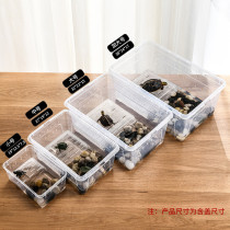 Special Price Corner Frog Rearing Box Small Turtle Rearing Cartridges Sundae Plastic Mullet Box Raising Turtle Box Basil Turtle box