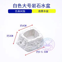 Reptile water basin BAO WEN GREEN HOUSE HAMSTER SQUIRREL Small Favorite Horns Frog Spider Climbing and Emulated Rocky Food Pan Water Pan