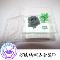 Hainan Double Needle Red Avocado Back Scorpion 8 Heavy Mountain Scorpion Yellow Fat Tail Pet Scorpion Rearing Suit Combined