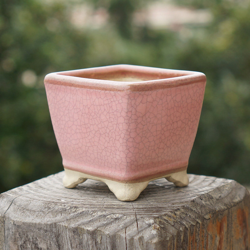 6 5CM Jin sister Korean succulent flower pot personality simple Maifan stone rough pottery ceramic white light pot size caliber