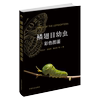 Color Illustrated Guide to Lepidoptera Larvae 28173 Shi Baocai Gong Jianya Wei Shujun Chen Jincui Ma Lijun Cao Lijun Lepidoptera Larvae Color Illustrated Guide Caterpillars China Agricultural Press
