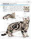 World Famous Cat Domestication Encyclopedia Pet Cat Breeding Books Cat Raising Manual Pet Books Daquan Cat Books Cat Raising Books Cat Books Cat Care Getting Started Cat Raising Guide Cat Raising Skills Book Pet Cat Feeding Guide