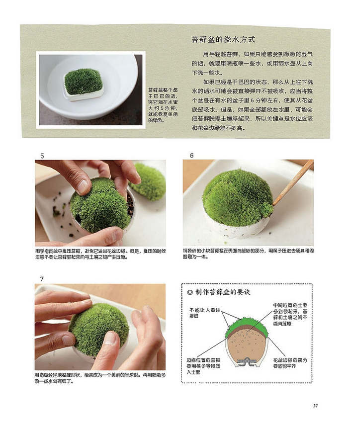 玩苔蘚 六大名師教你手制苔蘚球和苔蘚小景 苔玉和青苔苔蘚微景觀苔蘚盆景制作教程書籍養花栽培技法參考養花栽培技法參考