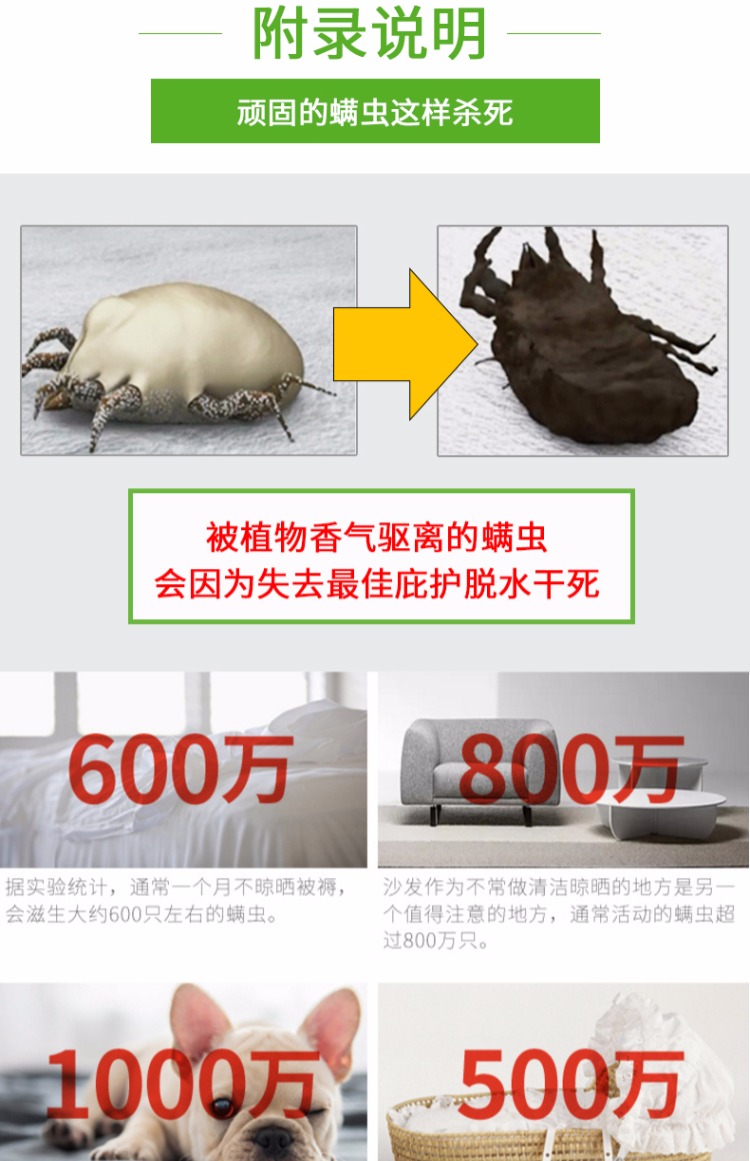 chai xịt muỗi raid Yukang túi tự nhiên trên giường để đi giun cung cấp giun chống mạt sao dán thuốc chống côn trùng hộ gia đình ngoài gián - Thuốc diệt côn trùng bình xịt côn trùng loại nào tốt