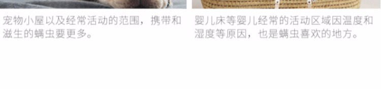 chai xịt muỗi raid Yukang túi tự nhiên trên giường để đi giun cung cấp giun chống mạt sao dán thuốc chống côn trùng hộ gia đình ngoài gián - Thuốc diệt côn trùng bình xịt côn trùng loại nào tốt