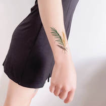 Three-color palm leaf tattoo stickers personality sexy lasting stickers tattoo big coffee tattoo artist original