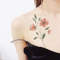 Watercolor elegant flowers and grass tattoo stickers female durable waterproof tattoo big coffee original
