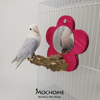 Птичье зеркальная платформа Parrot Toys Set Set Setult