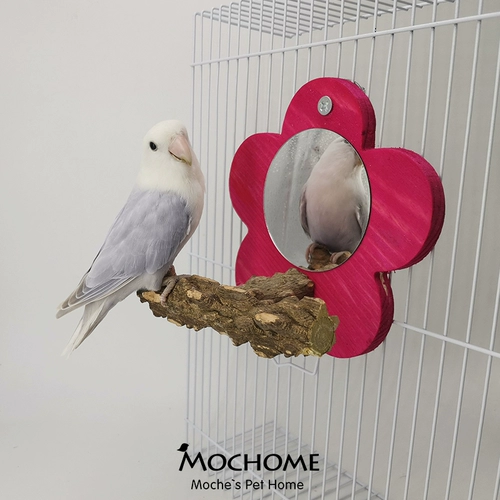 Птичье зеркальная платформа Parrot Toys Set Set Setult