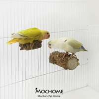 Peony Tiger Pipon Bird Xuanfeng Totoro Hamgical Koga Kaw Bird Cage играет в перцем свинину.