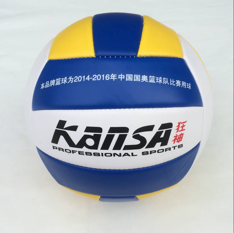 Ballon de volley-ball - Ref 2010115 Image 9