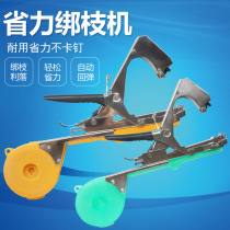 Tying Tomatoes Tied to the Tying Branches of the Cucumber Tying the Tying Branches Grape Tied to the Nail Tape Machine Tied to the Tying Branches of the Tying Branches