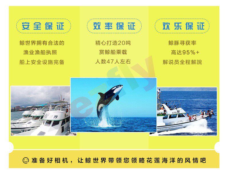 市区接送台湾花莲拼车赏鲸半日游出海赏鲸豚出海体验船票纯玩 旅游度假 飞猪
