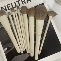 Cangzhou makeup brush full set professional makeup brush super soft hair high value novice beginner