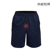 New style physical training suit shorts cotton polyester quick-drying breathable military fans summer sportswear shorts sports shorts