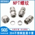 co nối ống thủy lực Thép không gỉ 304 đôi ferrule thẳng qua thiết bị đầu cuối khớp khí quản thủy lực npt ren ngoài dây ngoài 1/4 1/8 1/2 khop noi nhanh thuy luc Khớp nối thủy lực